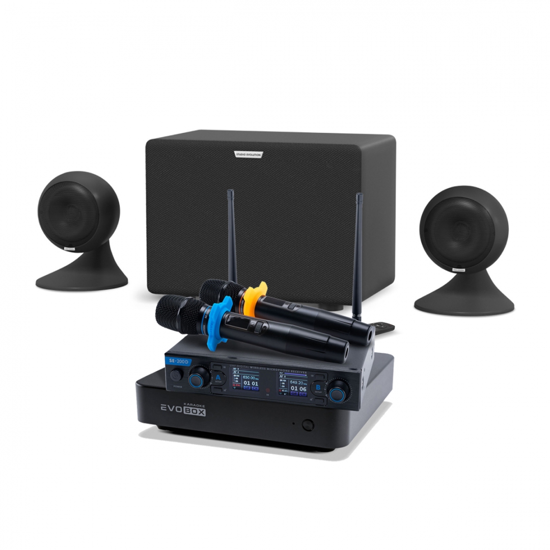 караоке-комплект EVOBOX + EvoSound Sphere 2.1 в Лабинске