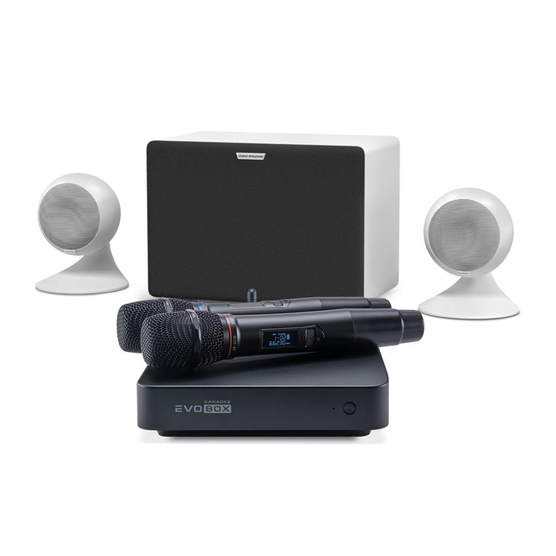 караоке-комплект EVOBOX Classic + EvoSound Sphere 2.1 в Лабинске