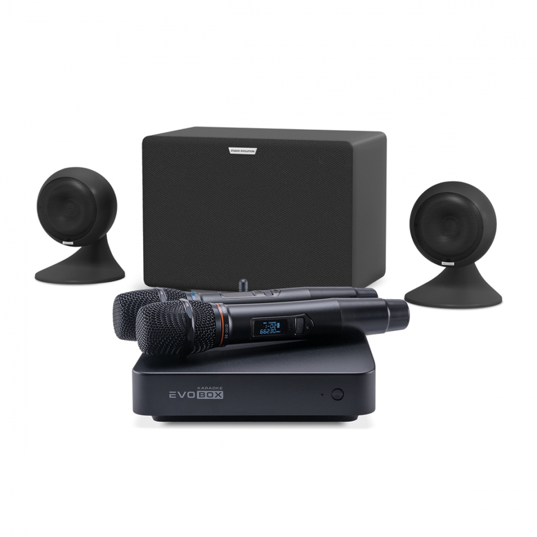 караоке-комплект EVOBOX Plus + EvoSound Sphere 2.1 в Лабинске