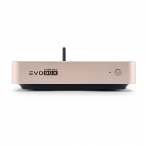 EVOBOX Plus караоке-система для дома в Лабинске