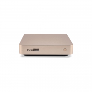 EVOBOX с микрофонами в Лабинске